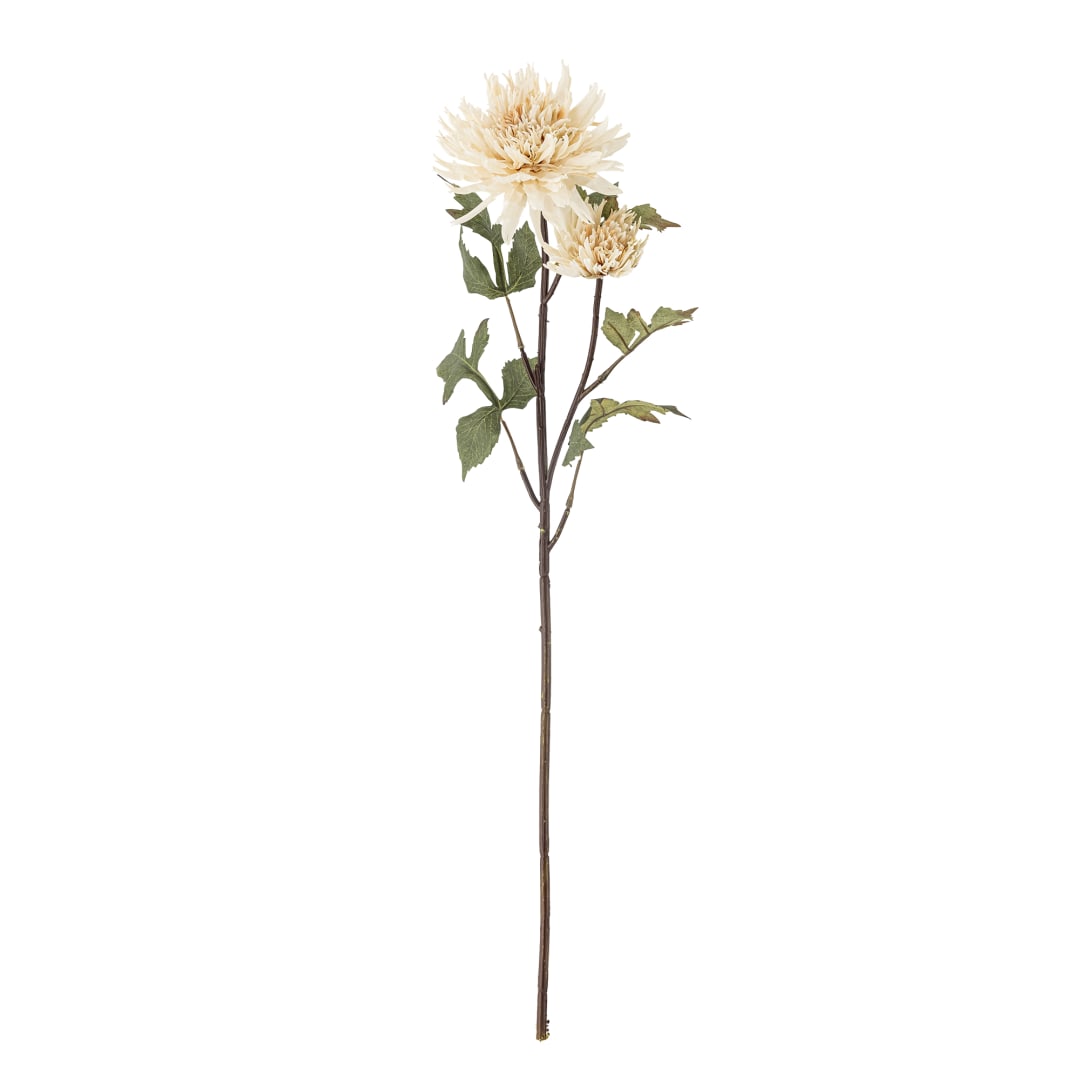 82061479 - Chrysantemum Stem, Nature, Artificial Flowers STOCK: 300