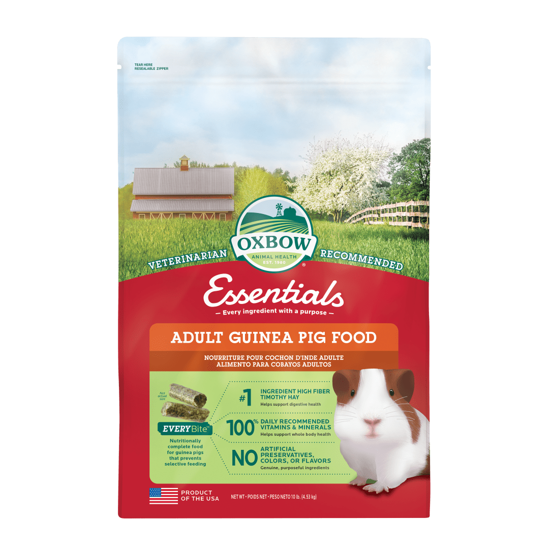 Essentials Adult Guinea Pig Food - 10 lb