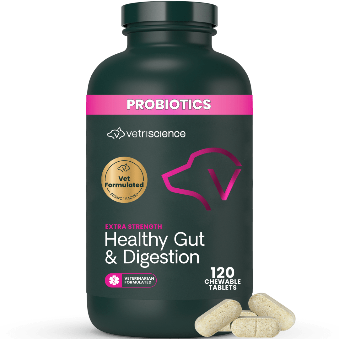 VS Extra Strength Healthy Gut & Digestion, Dogs, 120ct