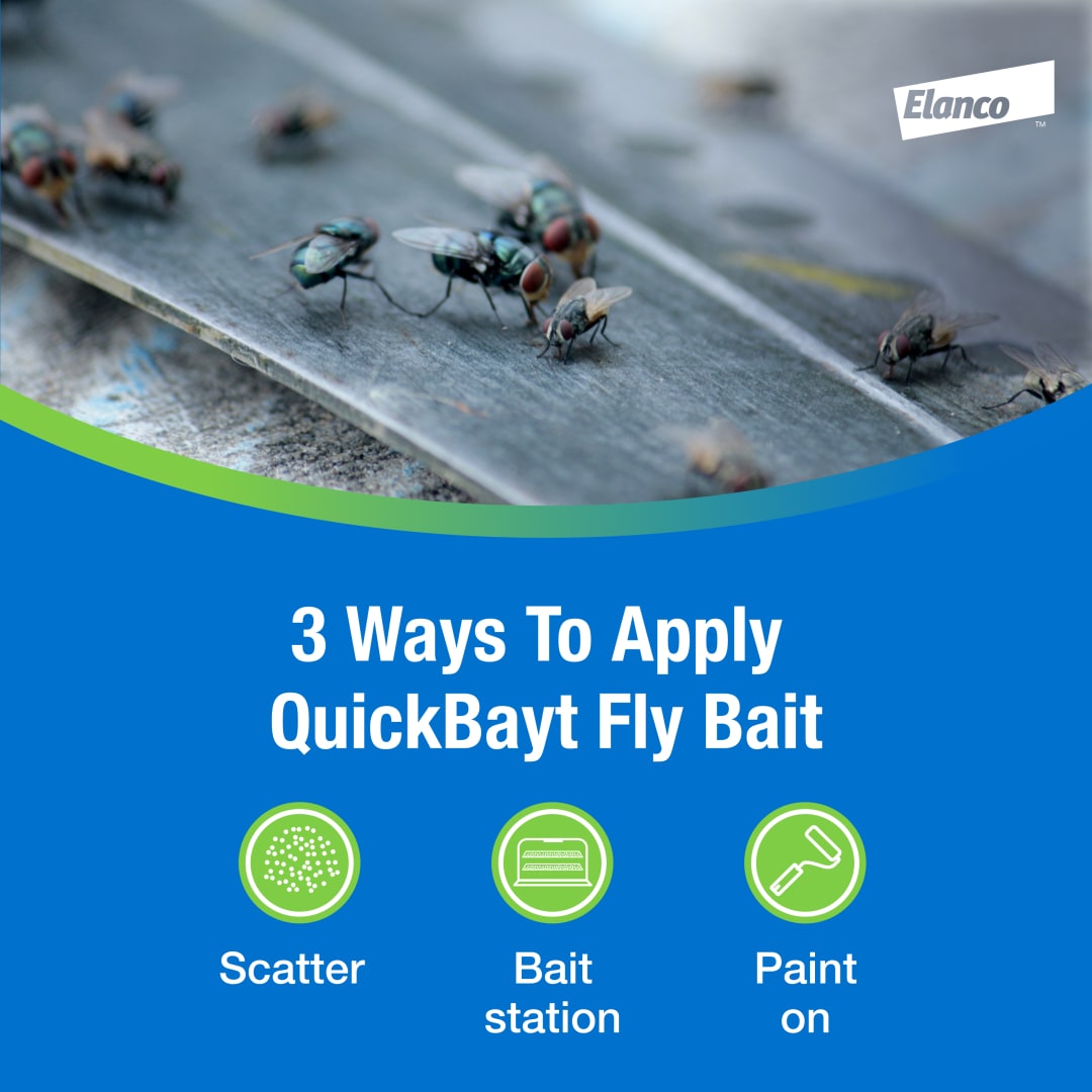 Elanco QuickBayt Fly Bait | Fast-Acting Nuisance Fly Insecticide | 350g ...