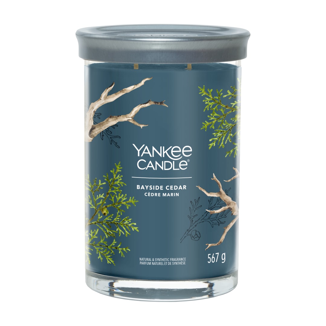 JAR-YCNT LG2 BAYSD CDR YCE