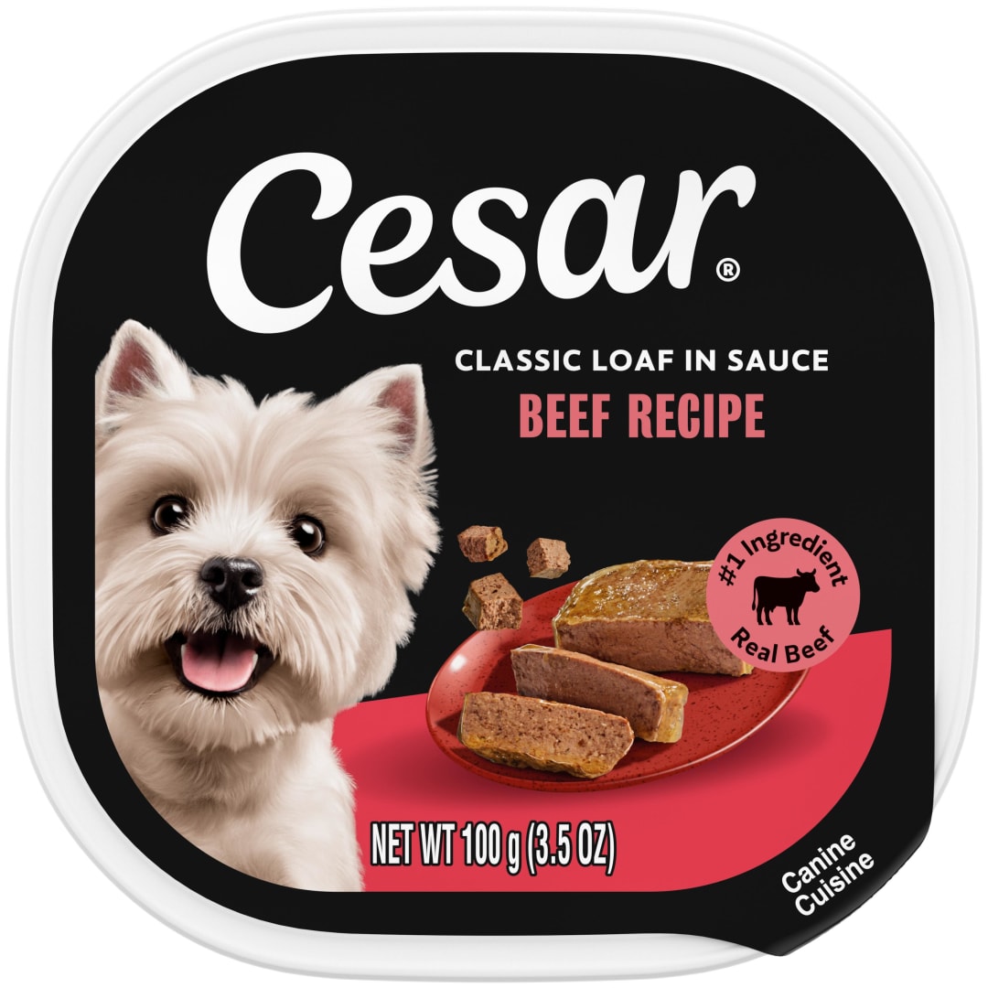 CESAR Soft Wet Dog Food Loaf in Sauce Beef Recipe, (24) 3.5 oz. Easy Peel Trays