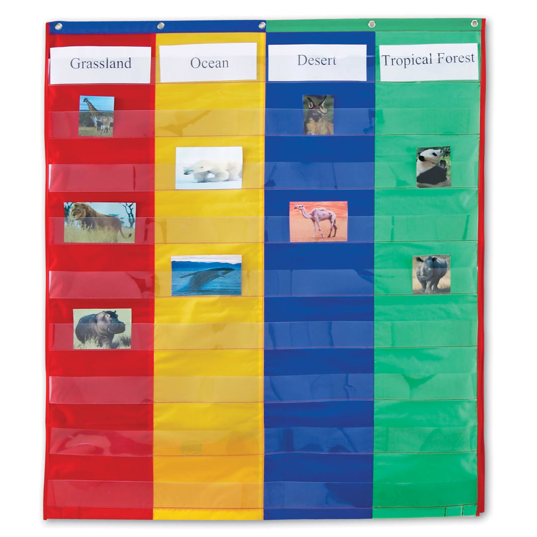 2 AND 4 COLUMN DOUBLE-SIDED POCKET CHART