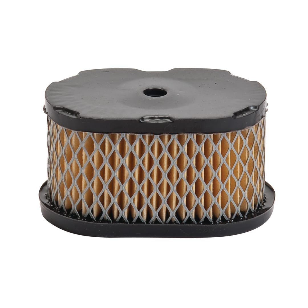 Air Filter, Briggs and Stratton