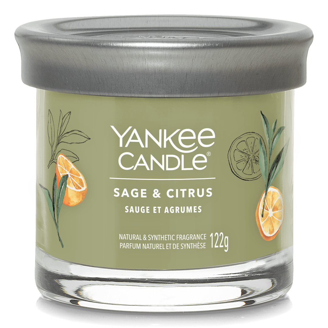 JAR-YCNT SM SG CTS YCE