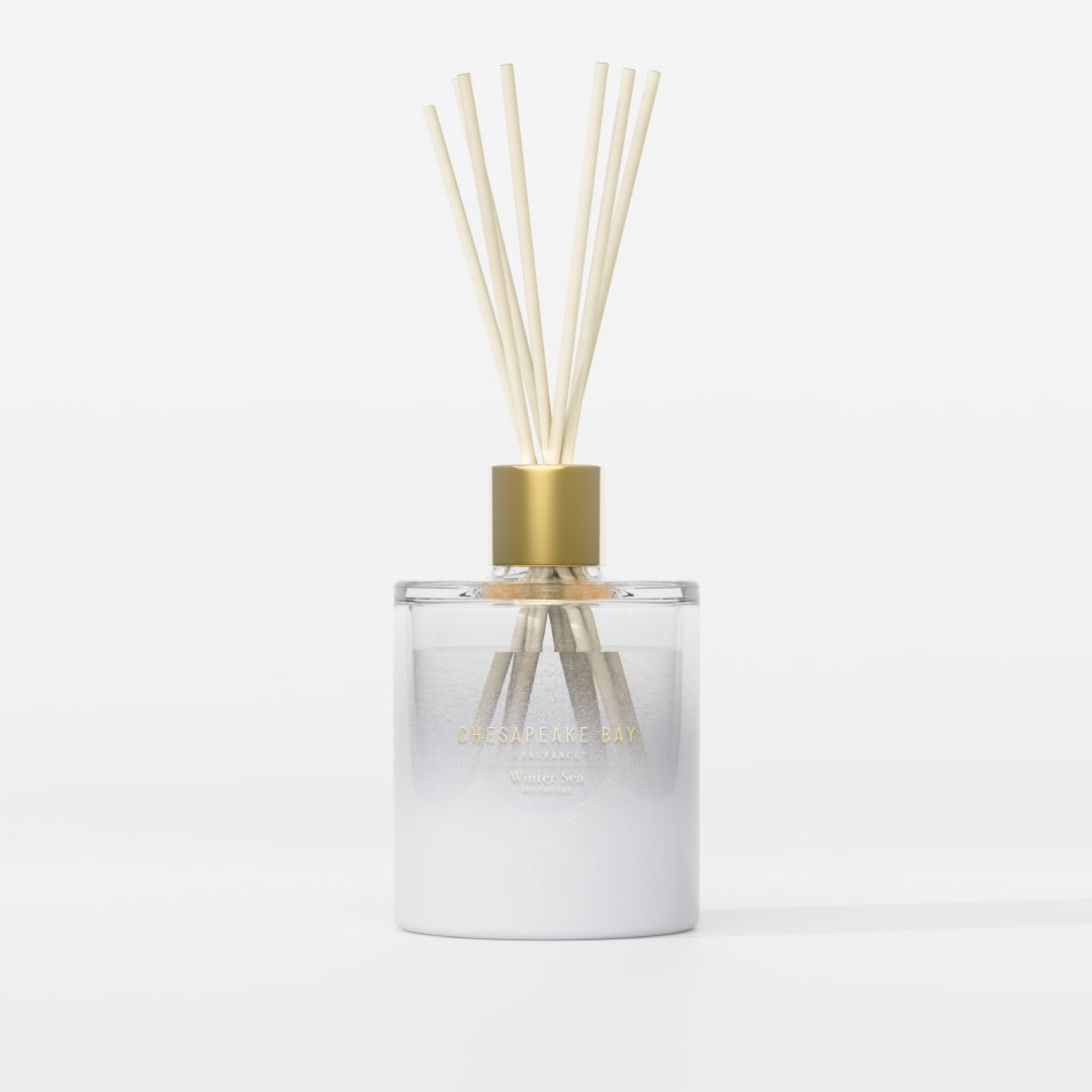 Chesapeake Bay | Difusor de varillas | Mar de invierno | Gran regalo para mujeres