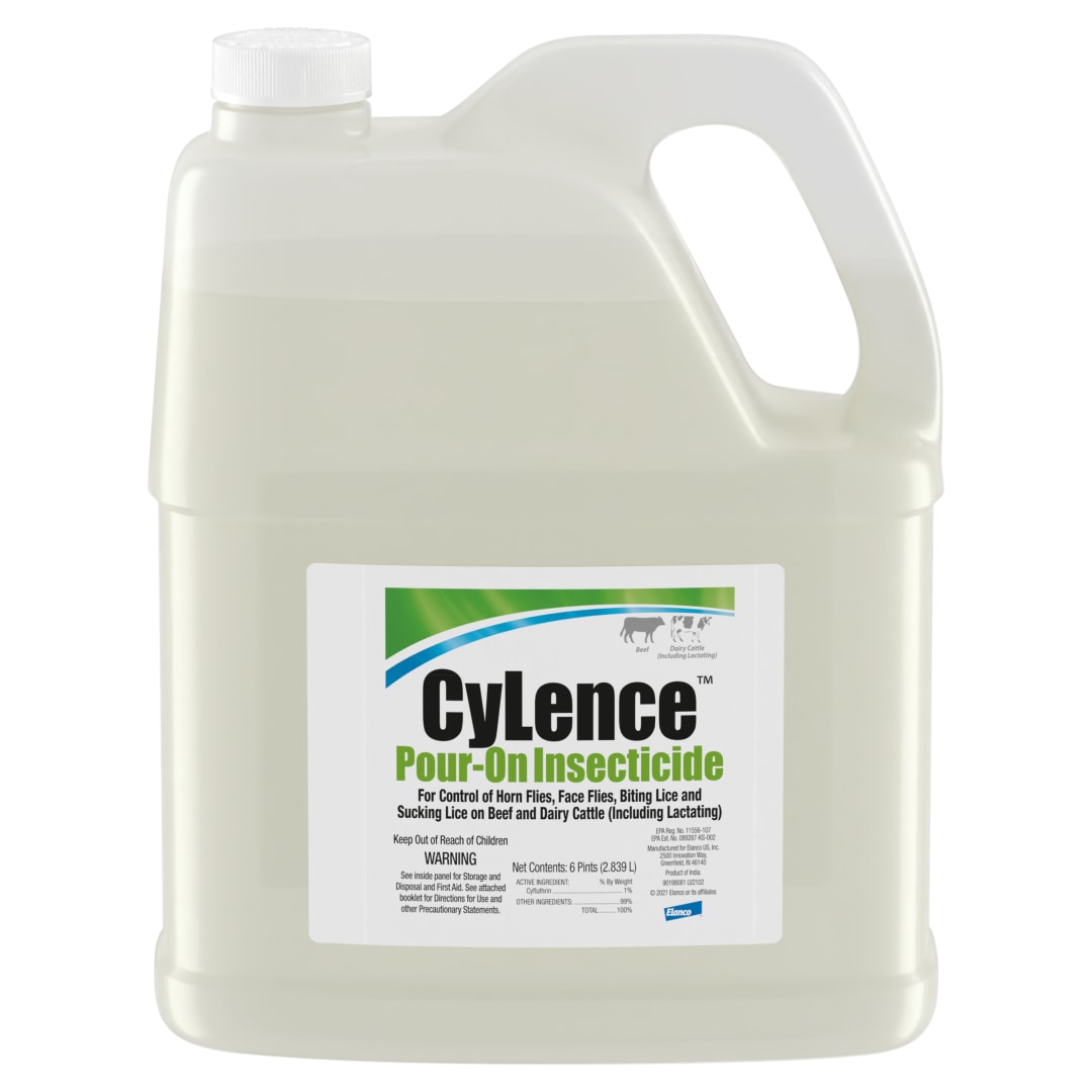 CyLence Pour-On Insecticide | Controls Flies & Lice | Ready-To-Use Solution for Beef & Dairy Cattle | 6 Pint