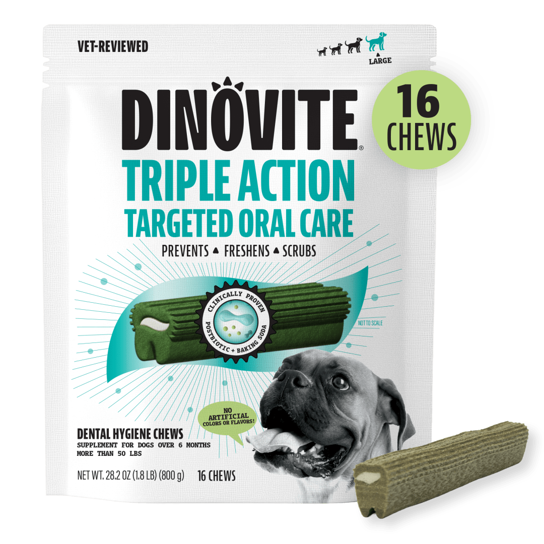DV K9 DENTAL CHEW LARGE EC 6/16 CT