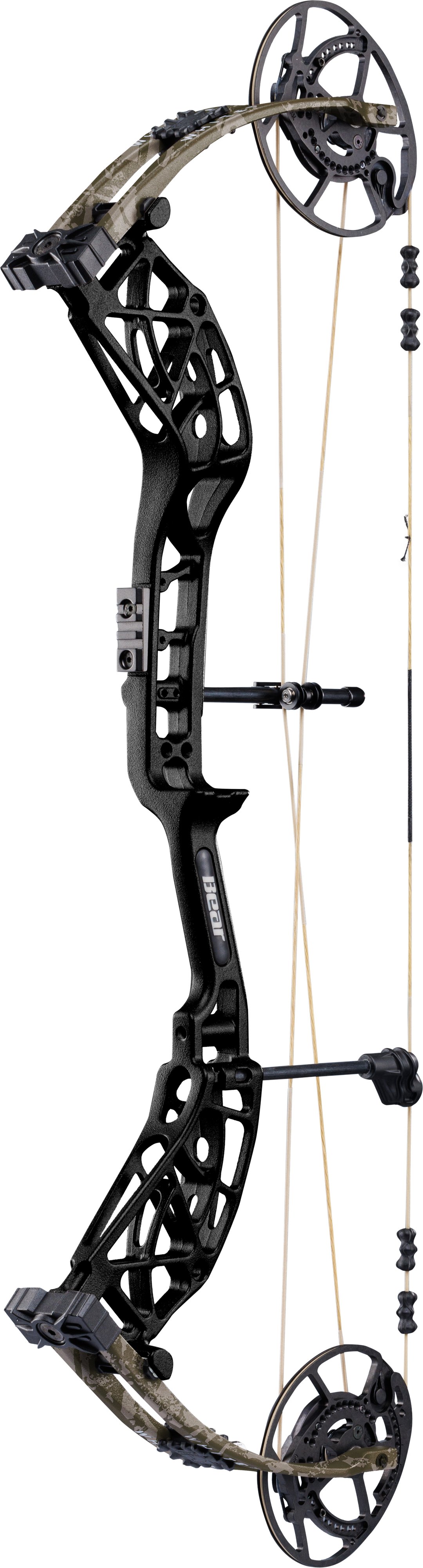 Bear Whitetail INT