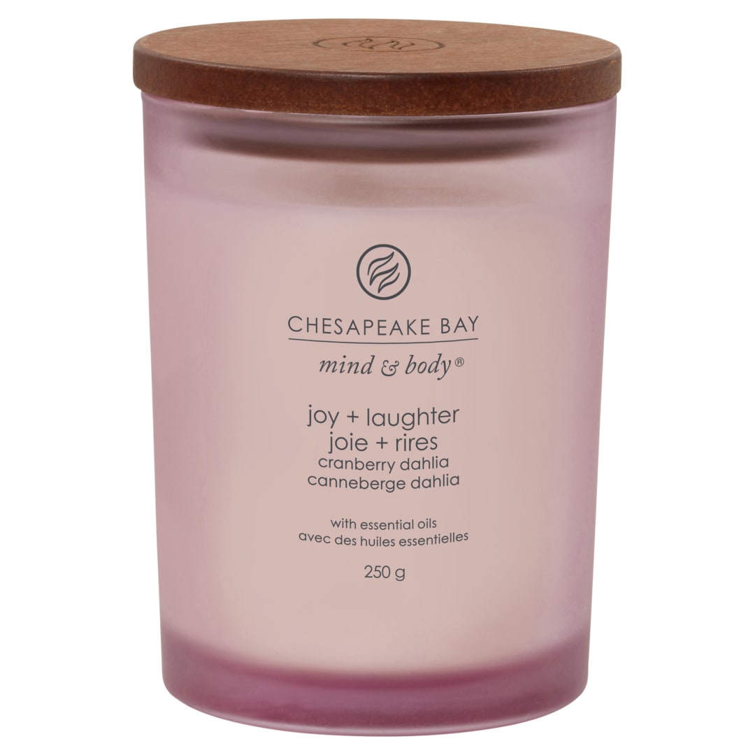 JAR-CB MB MED JOY LGHTR EU