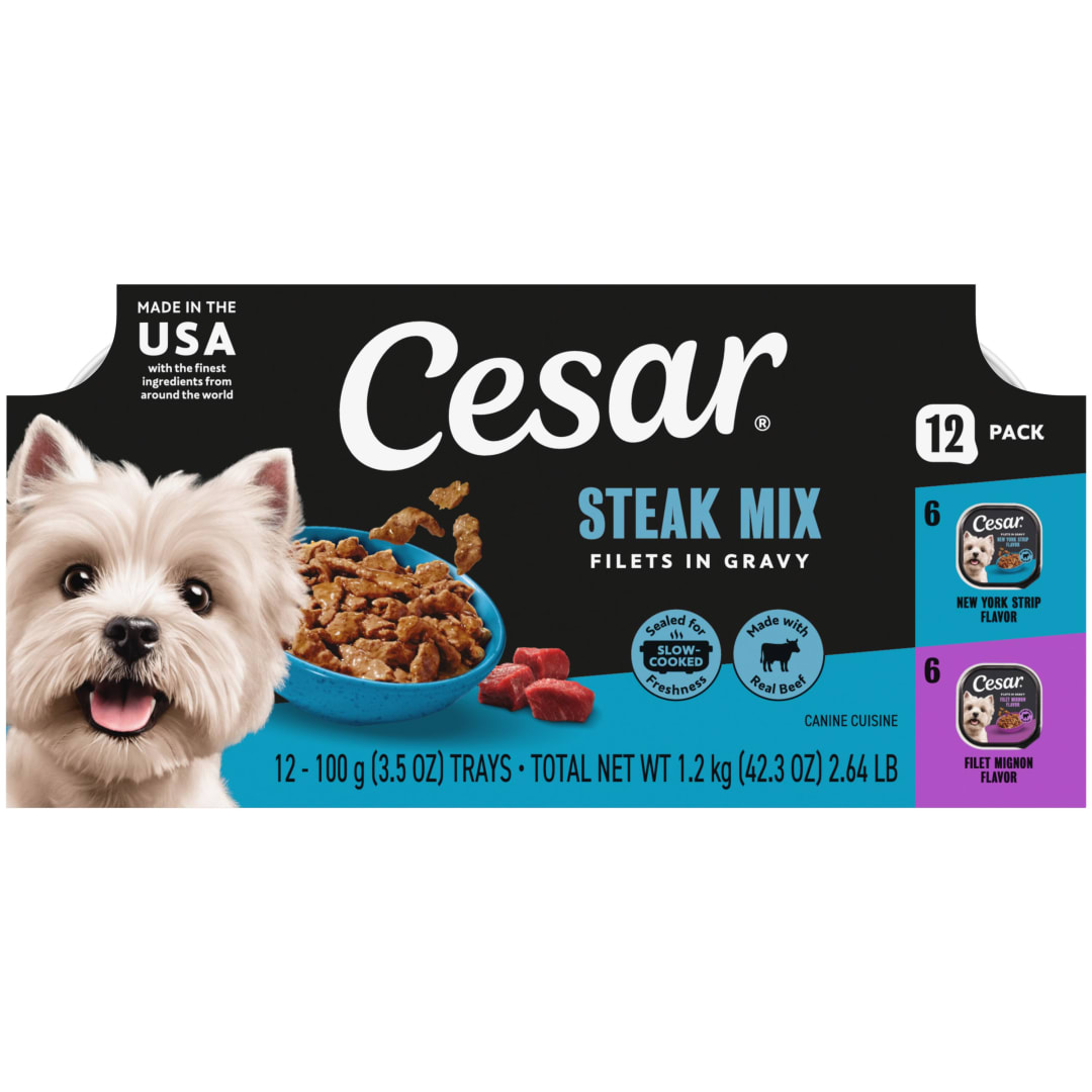CESAR Adult Soft Wet Dog Food Filets in Gravy Variety Pack, Filet Mignon and New York Strip Flavors, (12) 3.5 oz. Trays
