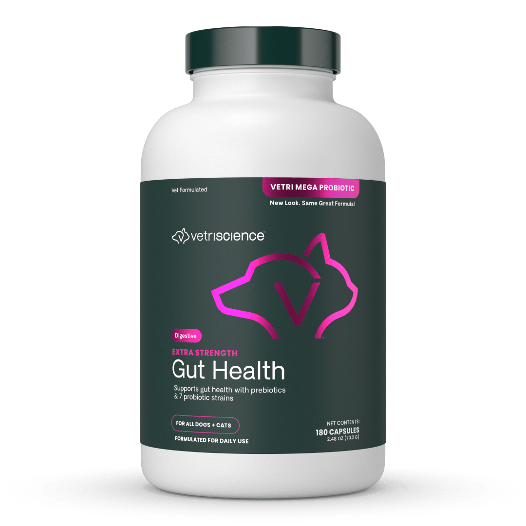 VS Extra Strength Gut Health, Capsules, 180ct