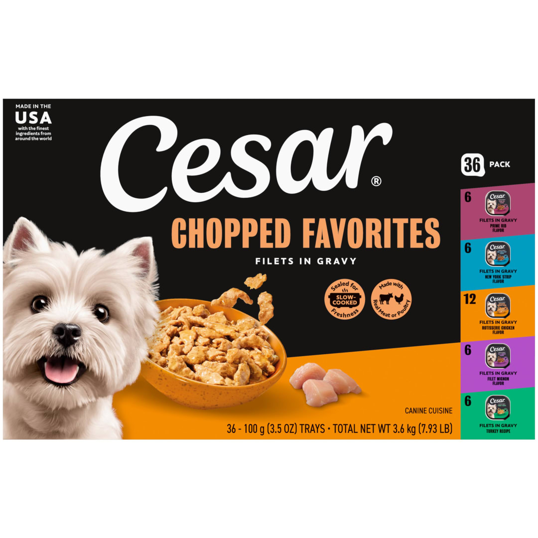 Cesar Filets in Gravy Variety Pack Adult Wet Dog Food, 3.5 oz Easy Peel Dog Food Trays, 36 Count