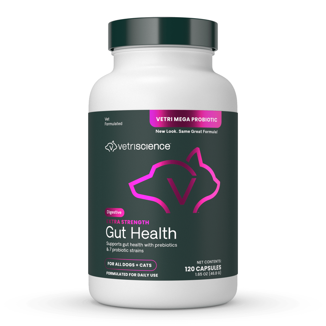 VS Extra Strength Gut Health, Capsules, 120ct