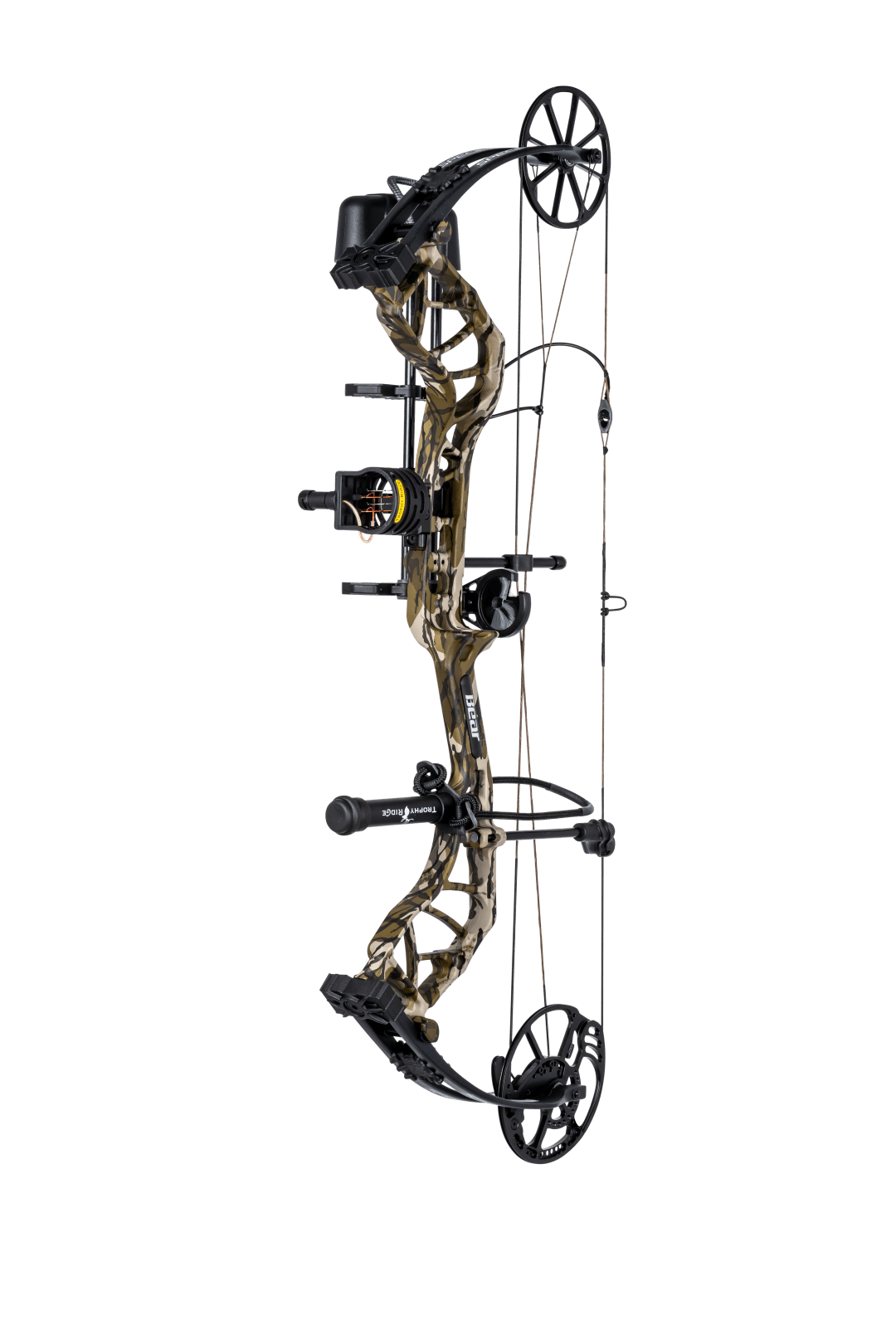 Bear Species XT RTH