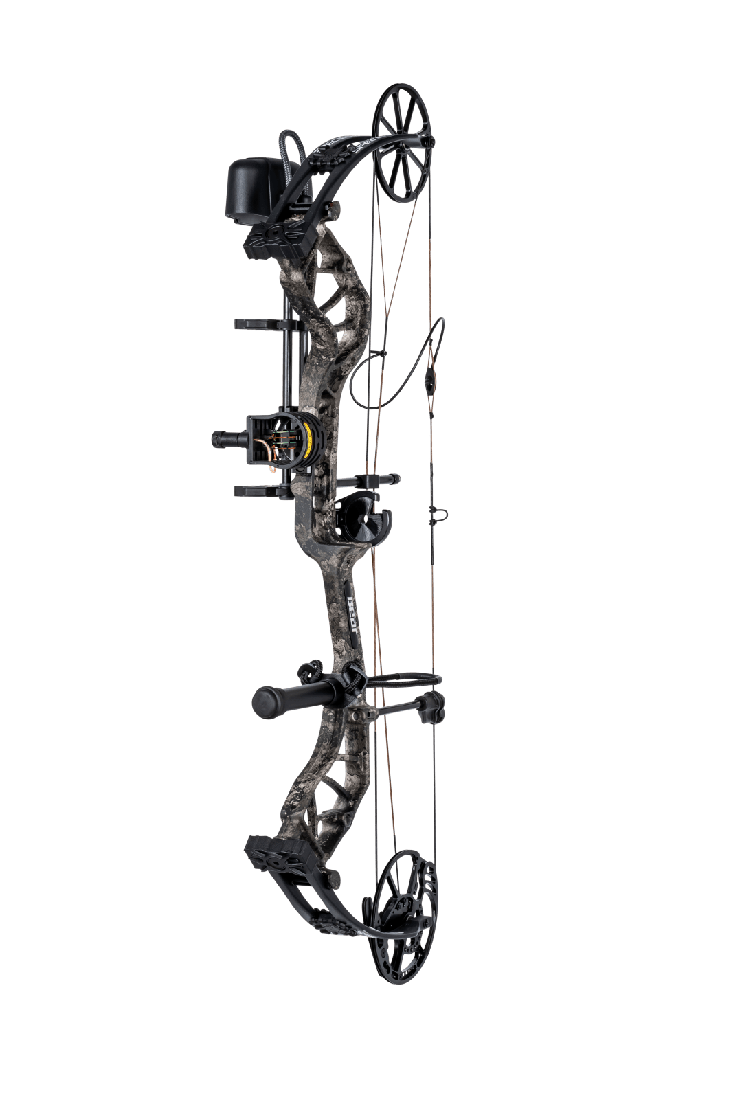 Bear Species XT RTH