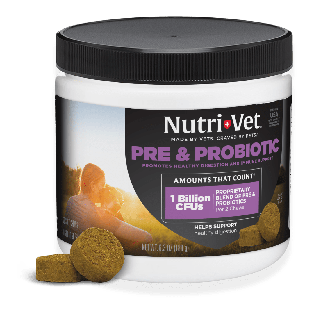 Nutri-Vet Pre and Probiotic Soft Chews for Dogs - Digestive Health Support Dog Probiotics - Tasty Liver and Cheese Alternative to Dog Probiotic Powder - 120 Soft Chews