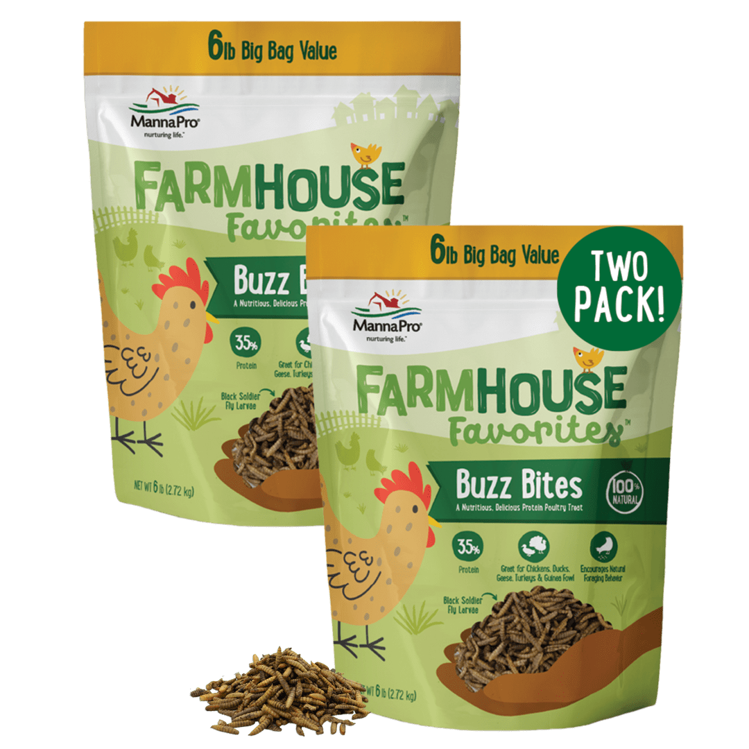 Manna Pro Farmhouse Favorites Buzz Bites Poultry Treat – 6lb 2-Pack for Amazon