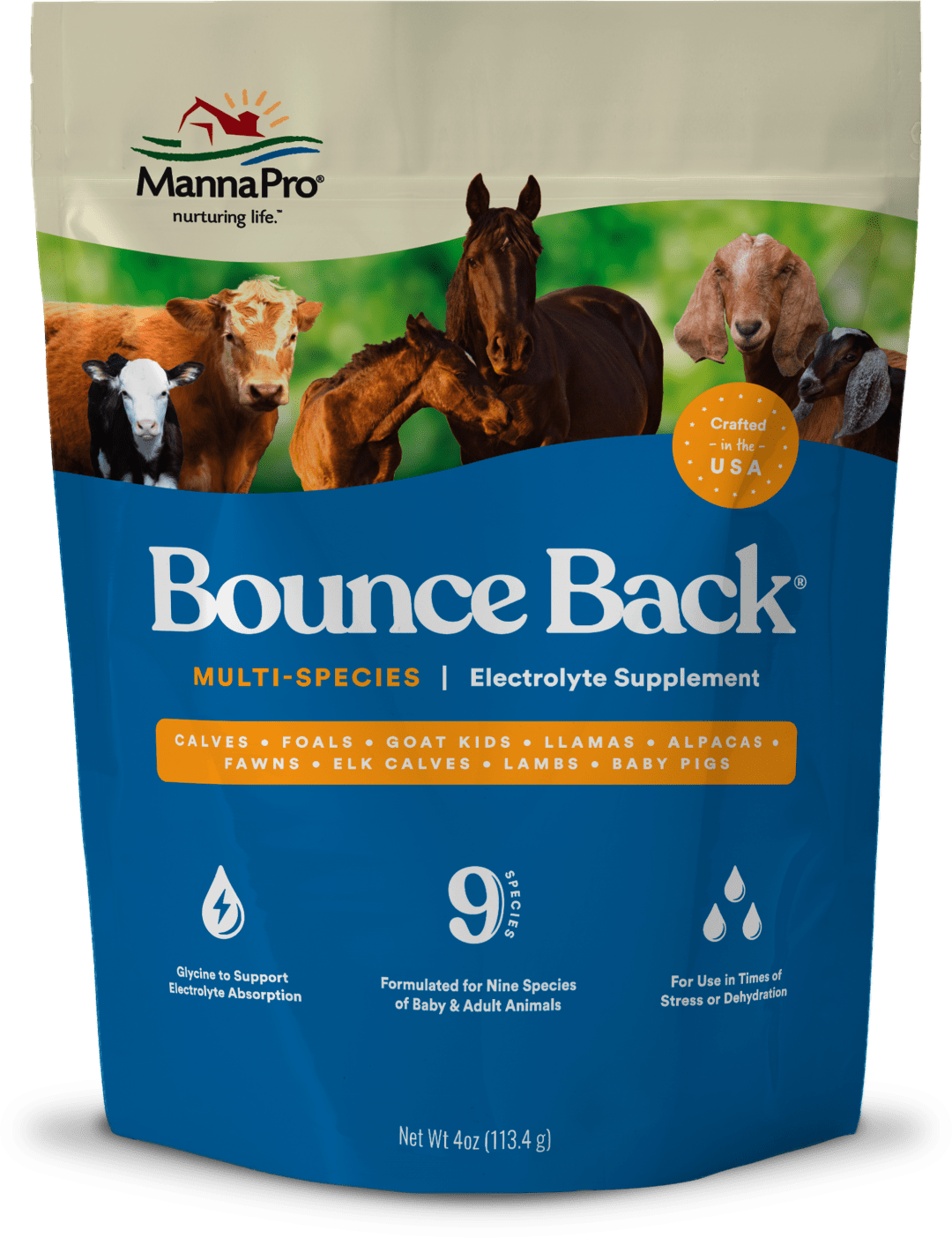 Manna Pro Bounce Back Supplement | Multi-Species Electrolyte | 4 oz