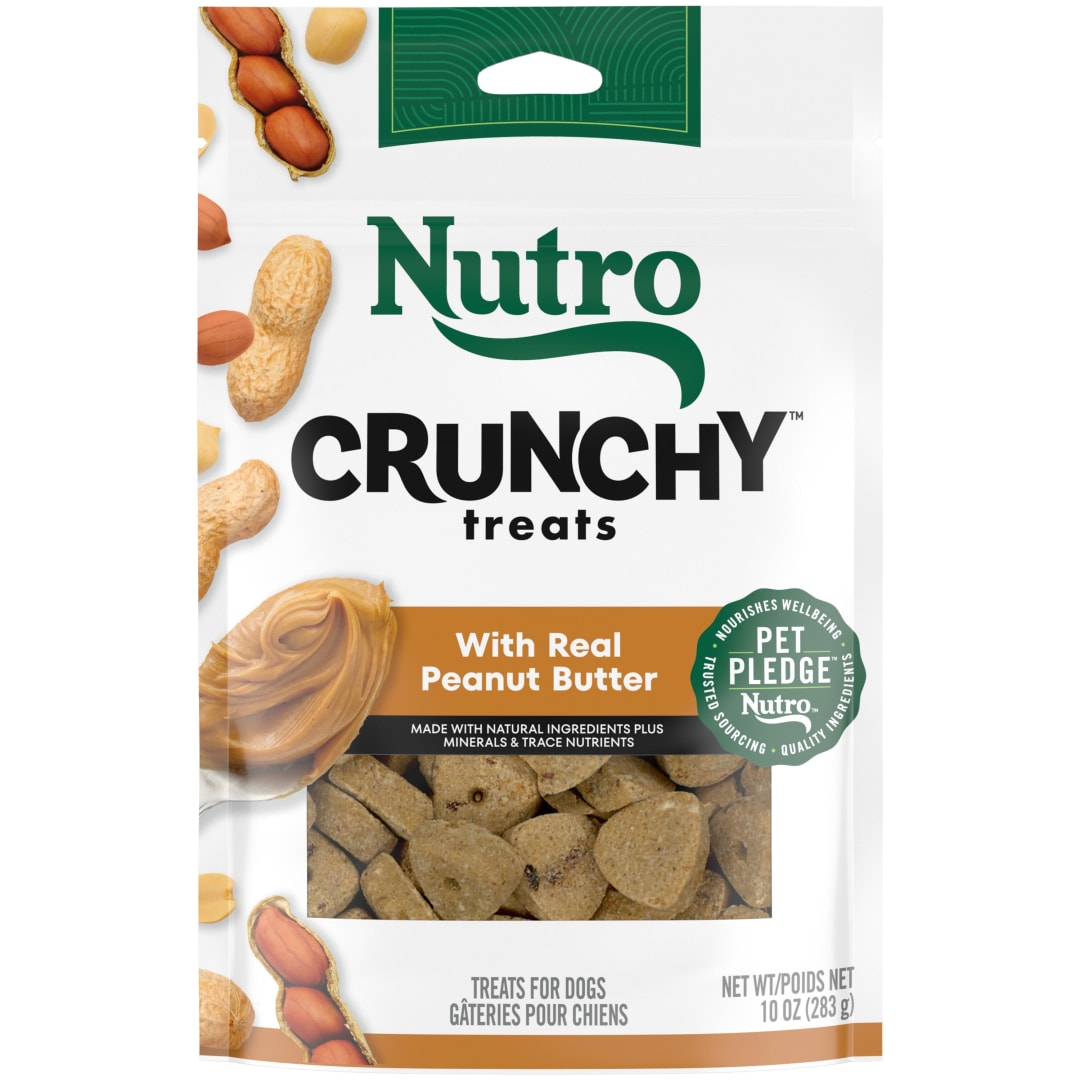 NUTRO Crunchy Dog Treats with Real Peanut Butter, 10 oz. Bag