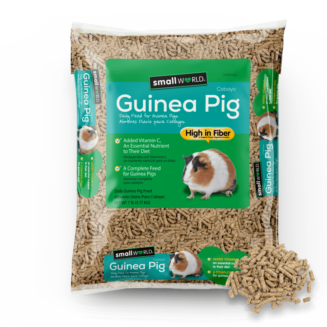 Small World Guinea Pig, 7 lb