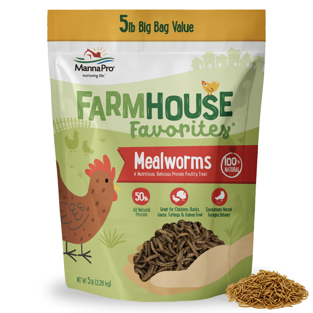 Manna Pro Farmhouse Favorites Mealworms Poultry Treat - 5lbs