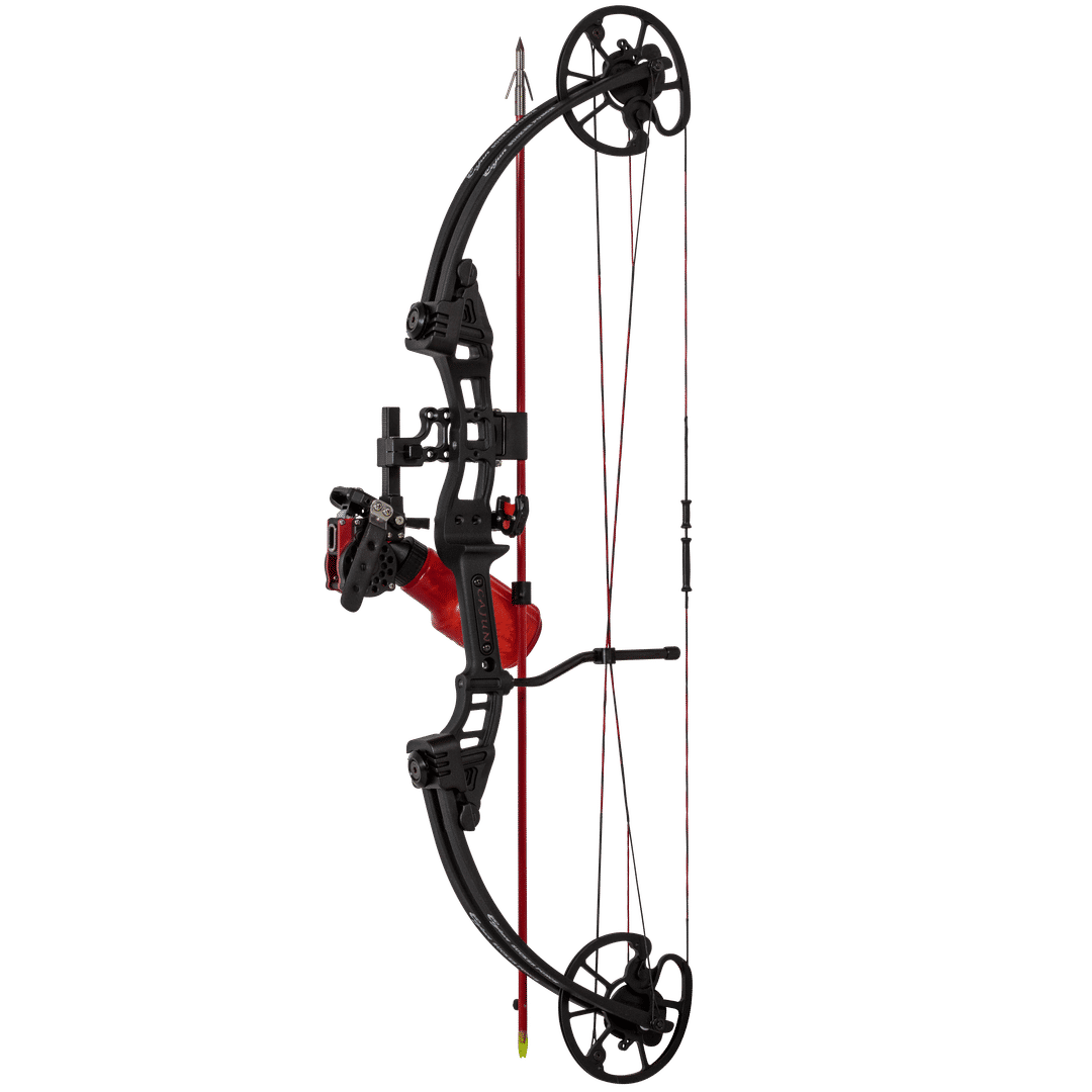 Cajun Bowfishing Sucker Punch