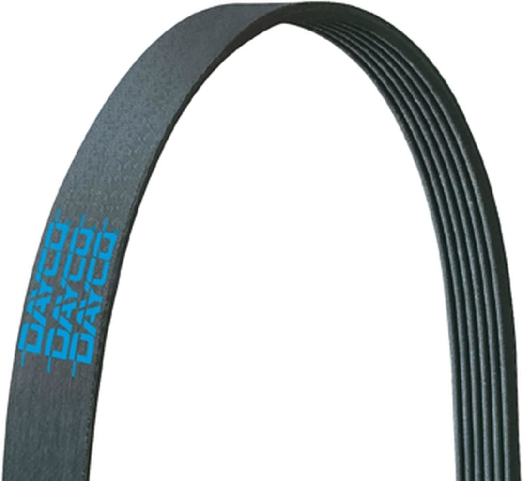 Poly Rib Gold Label Serpentine Belt