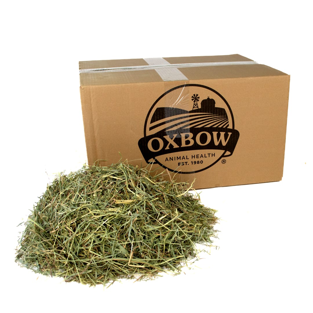 Orchard Grass - 25 lb