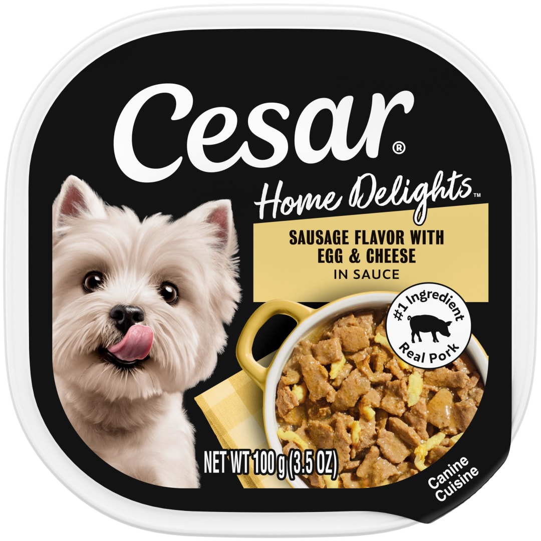 CESAR HOME DELIGHTS Adult Soft Wet Dog Food Sausage Flavor with Egg and Cheese in Gravy, (24) 3.5 oz. Easy Peel Trays