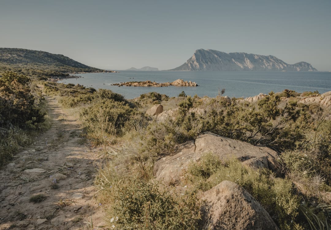 Olbia (Sardinia)