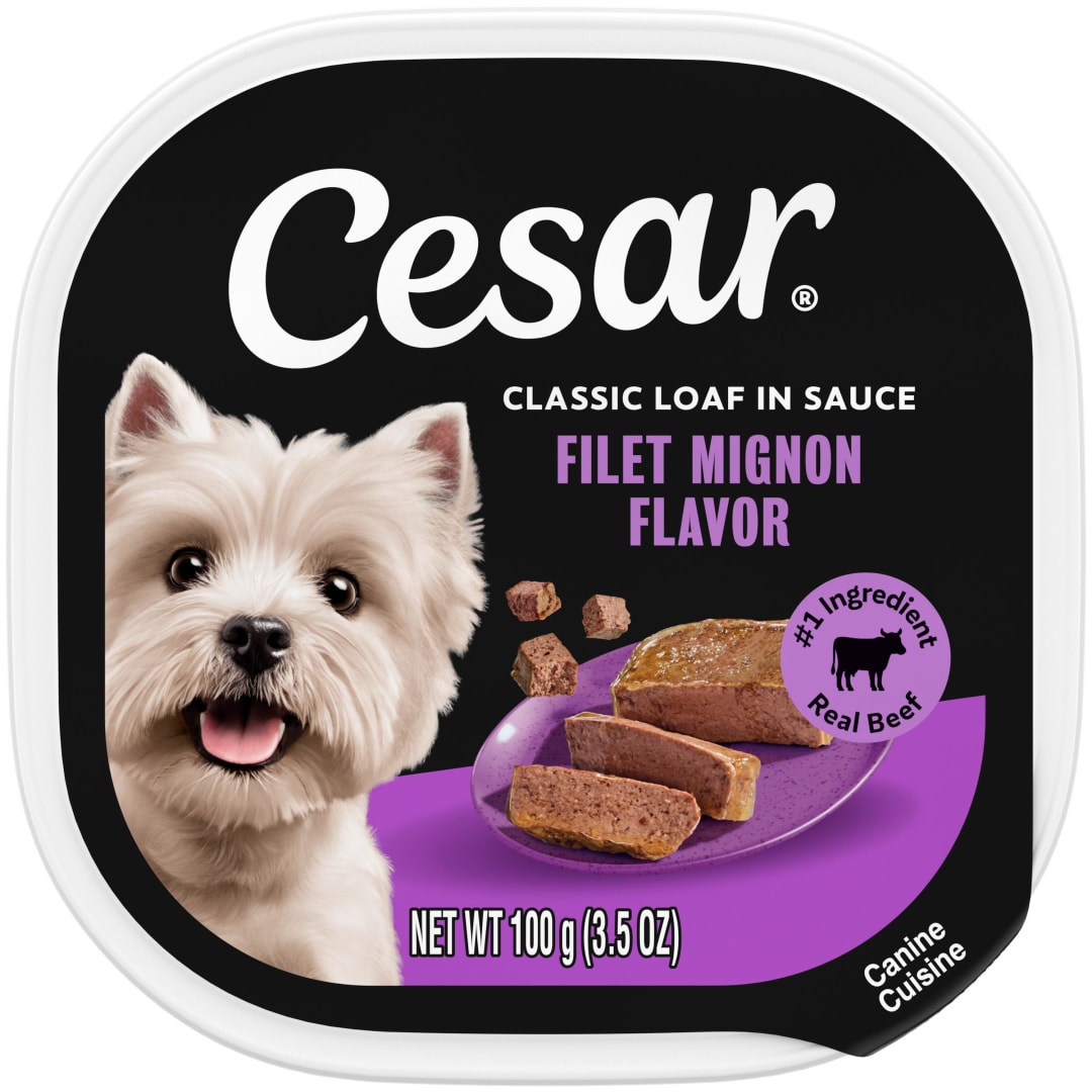 CESAR Soft Wet Dog Food Classic Loaf in Sauce Filet Mignon Flavor, (24) 3.5 oz. Easy Peel Trays