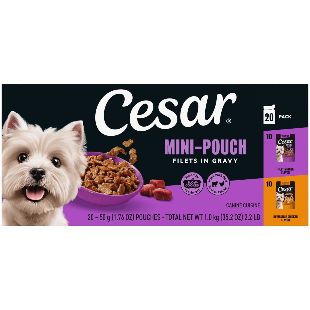 Cesar Filets in Gravy Beef and Chicken Flavors Wet Dog Food, 1.76 oz Mini-Pouches, 20 Ct