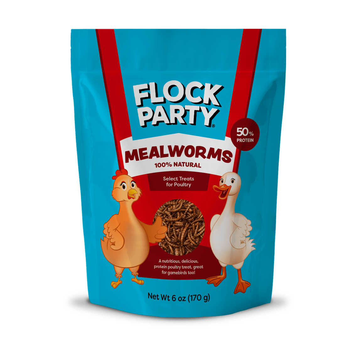 Flock Party Mealworms 6 oz