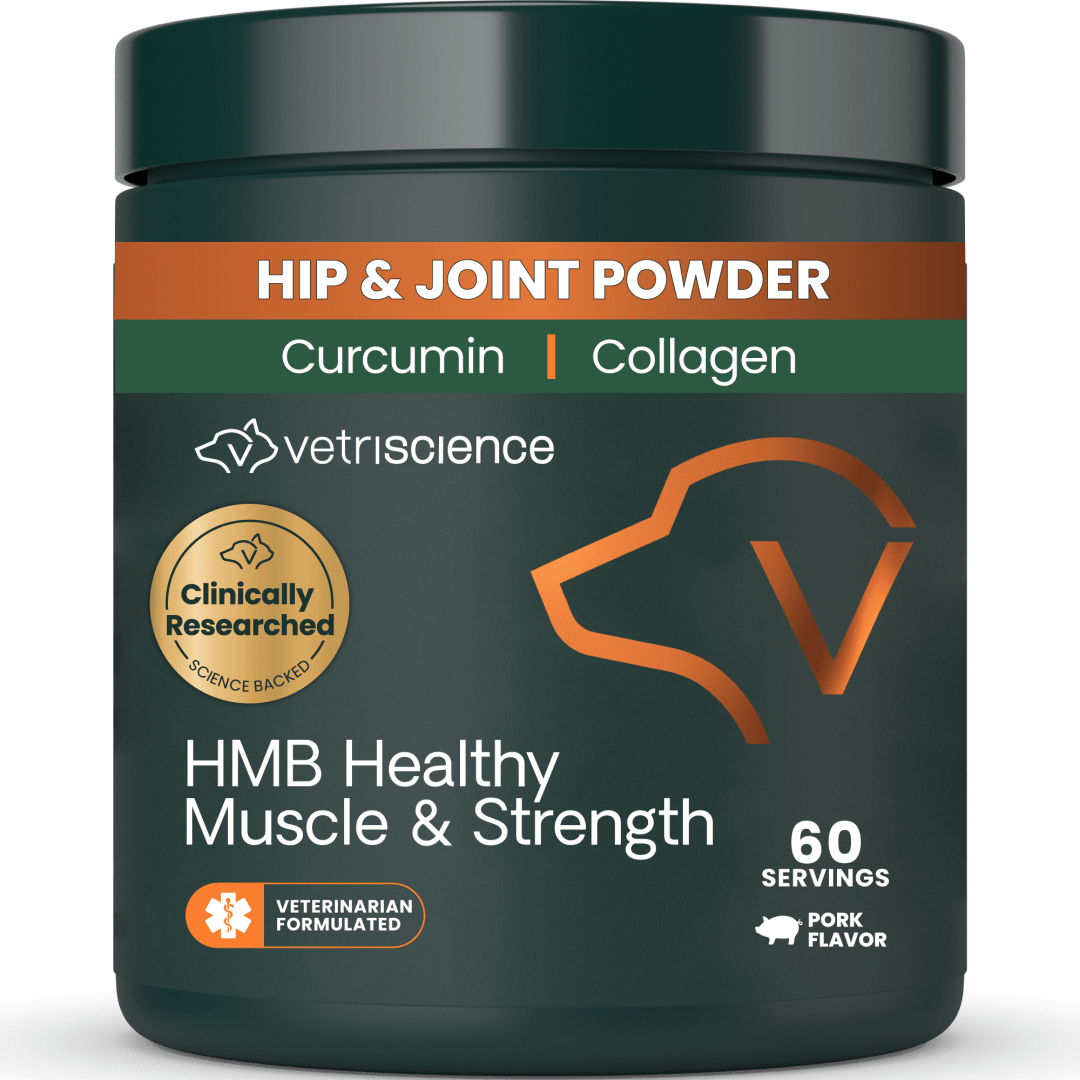 VS HMB Healthy Muscle and Strength, Granules, 60 Scoops