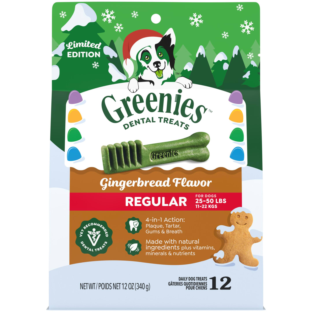 GREENIES Gingerbread Flavor Regular Size Dental Dog Treats, 12 oz. Pack (12 Count)