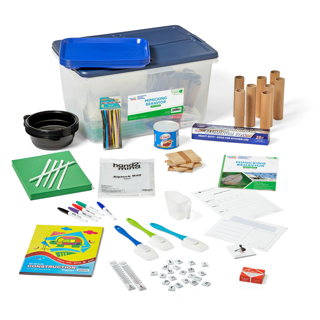 INVESTIGATING EVERYDAY PHENOMENA. LS. GR1