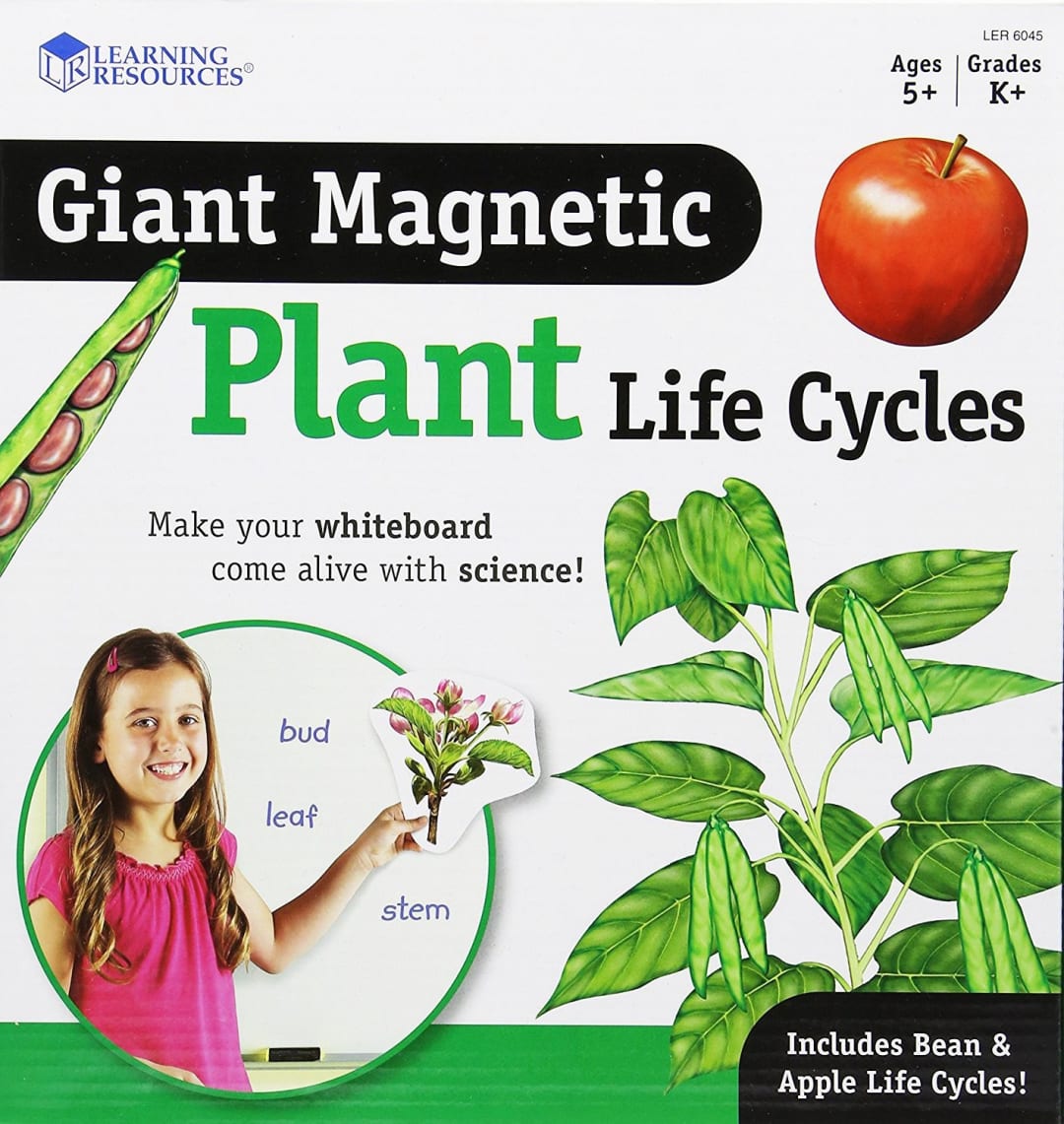 PLANT LIFE CYCLE, MAGNETIC