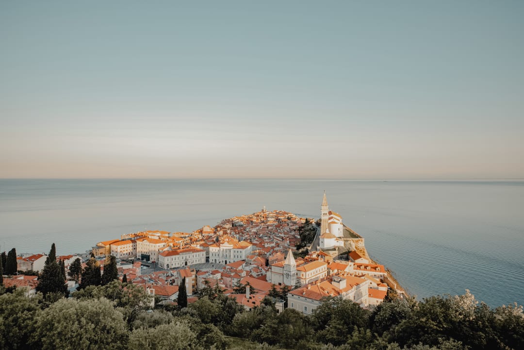 Koper
