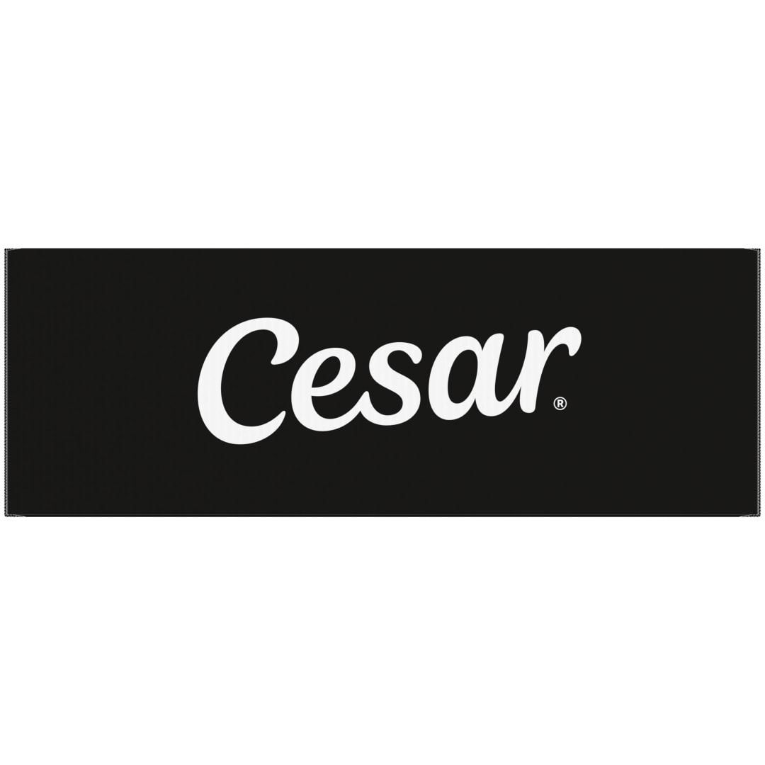 Cesar Filets in Gravy Variety Pack Adult Wet Dog Food, 3.5 oz Easy Peel Dog Food Trays, 60 Count