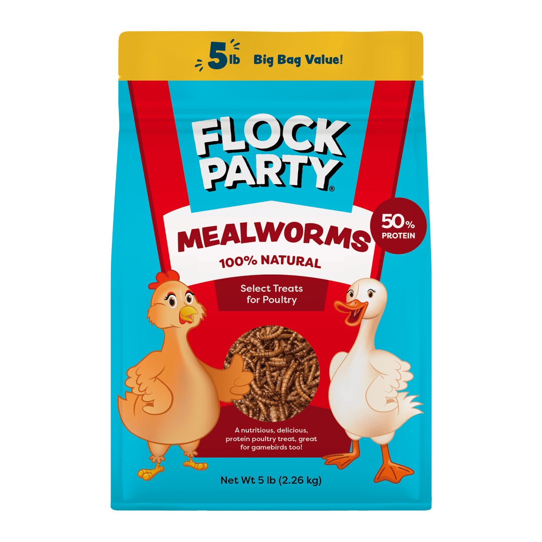 Flock Party Mealworms, 5 LB