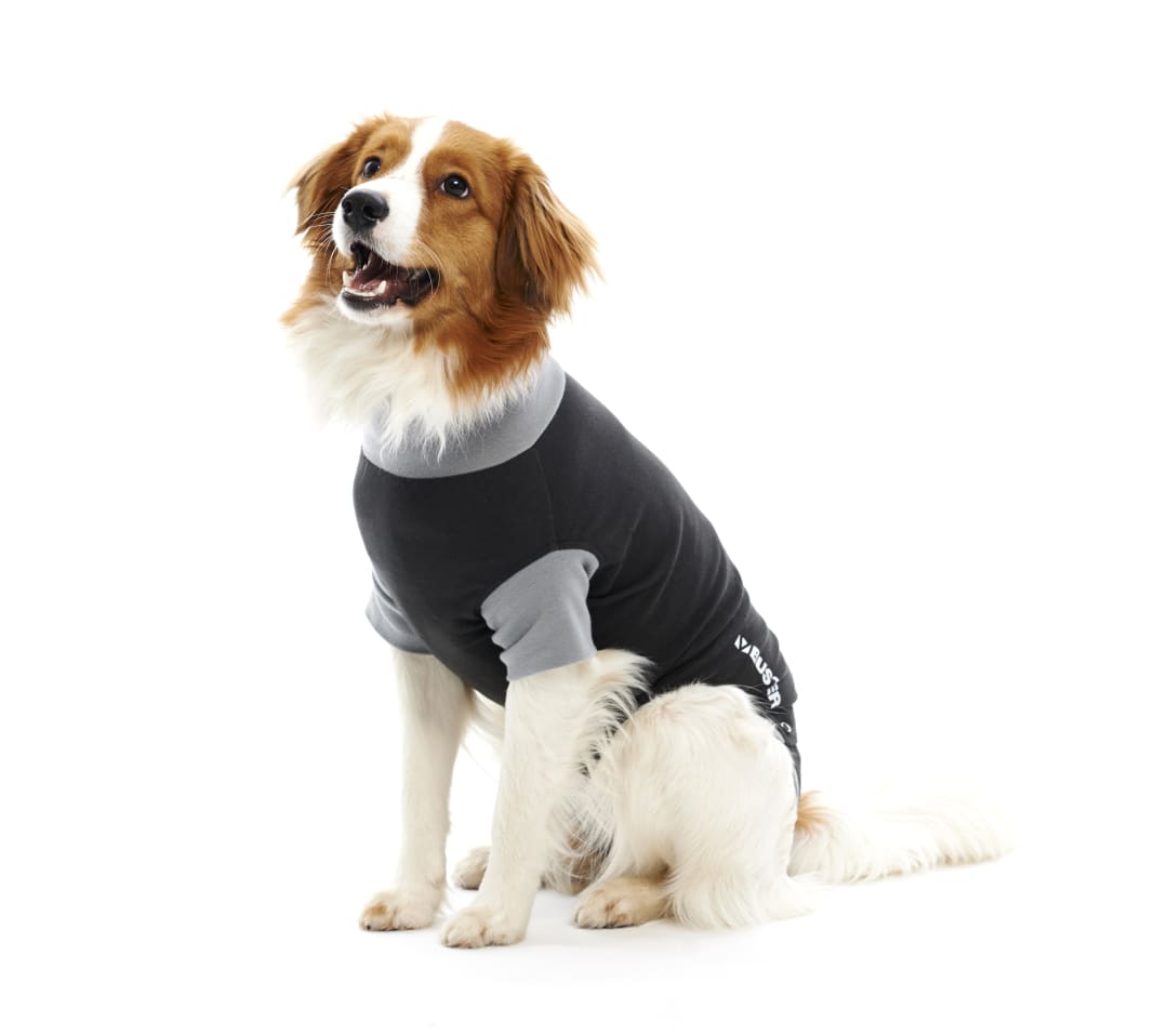 BUSTER Body Suit for Dogs, XXX-Large