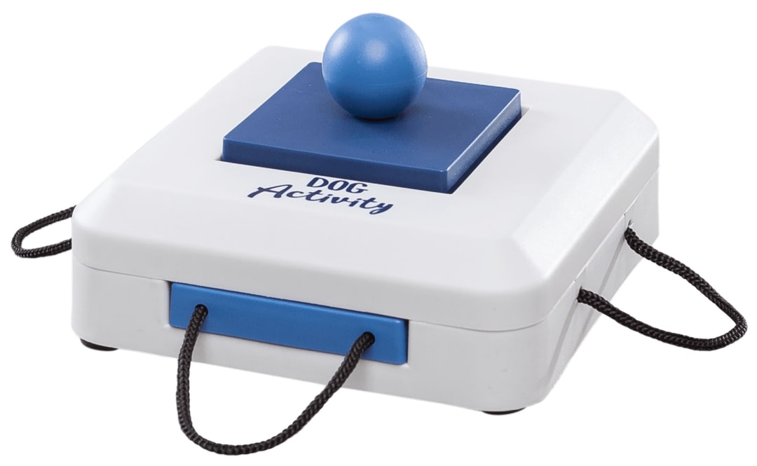 Strategy Game Gamble Box