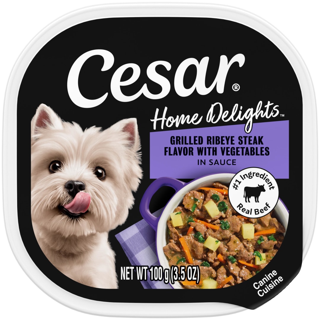 CESAR HOME DELIGHTS Adult Soft Wet Dog Food Grilled Ribeye Steak Flavor with Vegetables in Sauce, (24) 3.5 oz. Easy Peel Trays