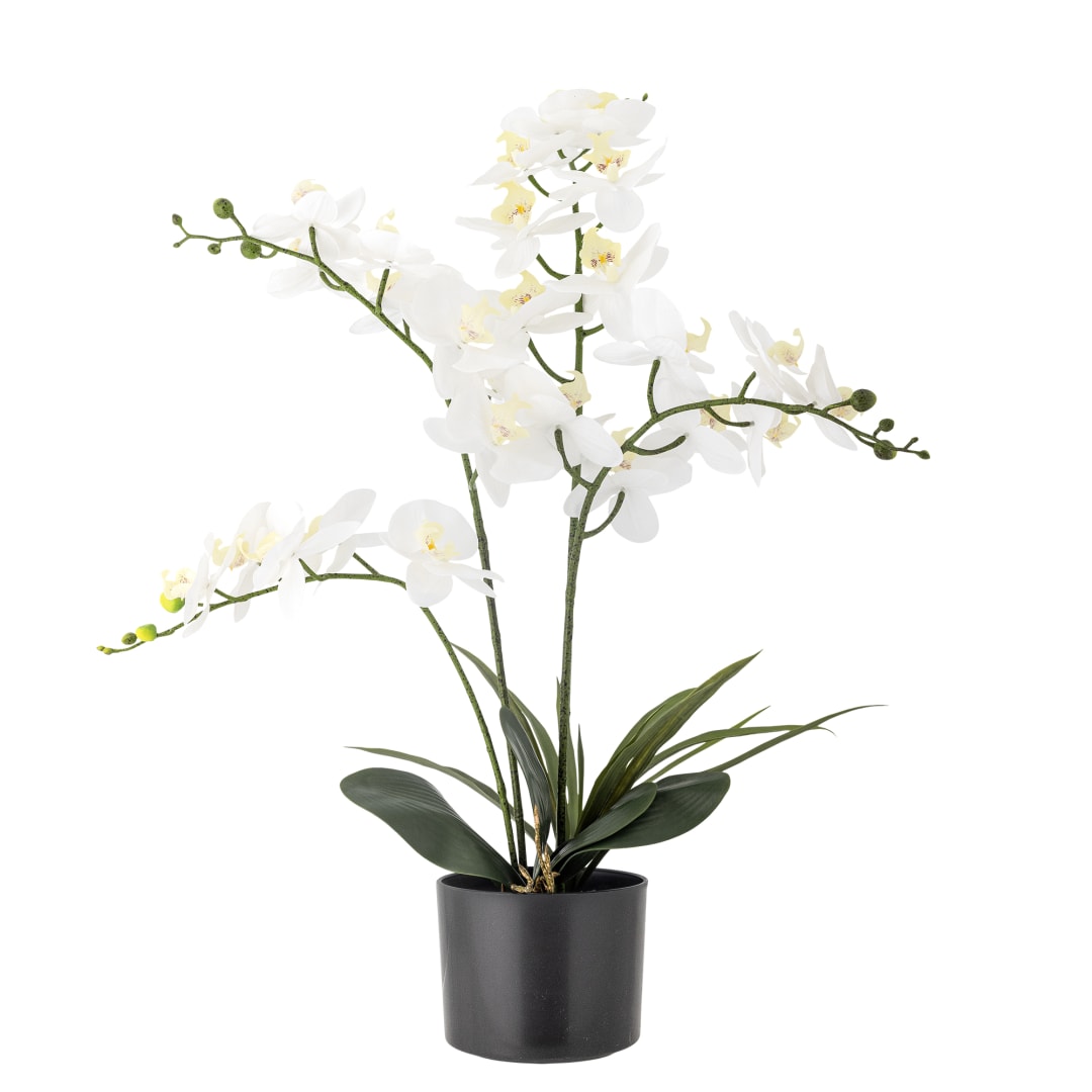 82061501 - Orchid Plant, White, Artificial Flowers STOCK: 218