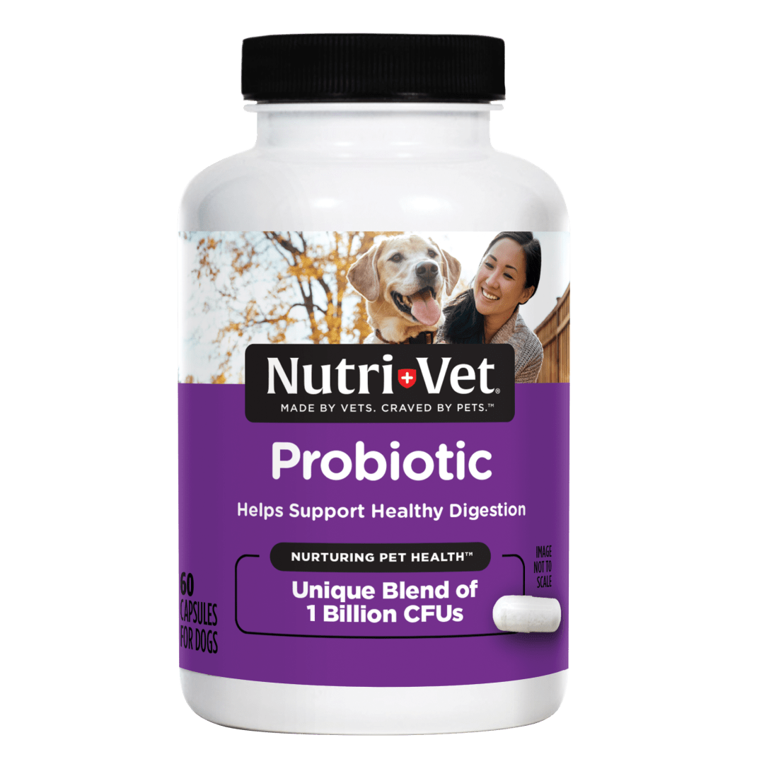 Nutri-Vet Probiotics Capsules for Dogs, 60 Count Capsules
