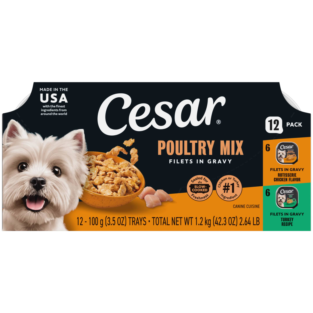 CESAR Soft Wet Dog Food Filets in Gravy Poultry Lovers Variety Pack, (24) 3.5 oz. Easy Peel Trays
