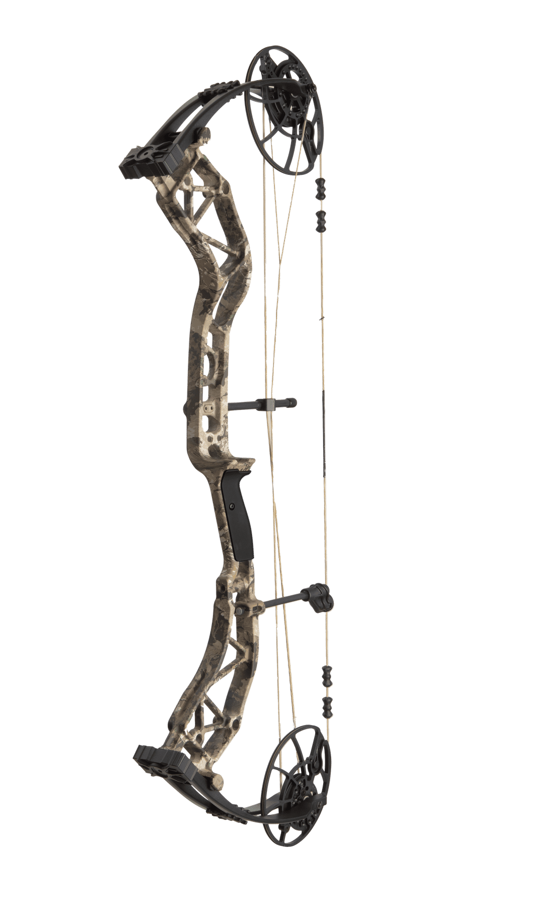 Bear Legend XR