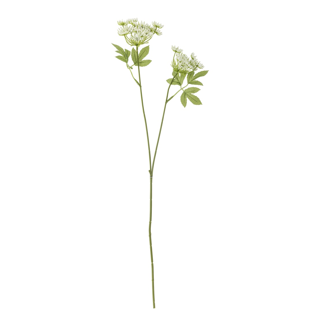 82061507 - Fennel Stem, White, Artificial Flowers STOCK: 243