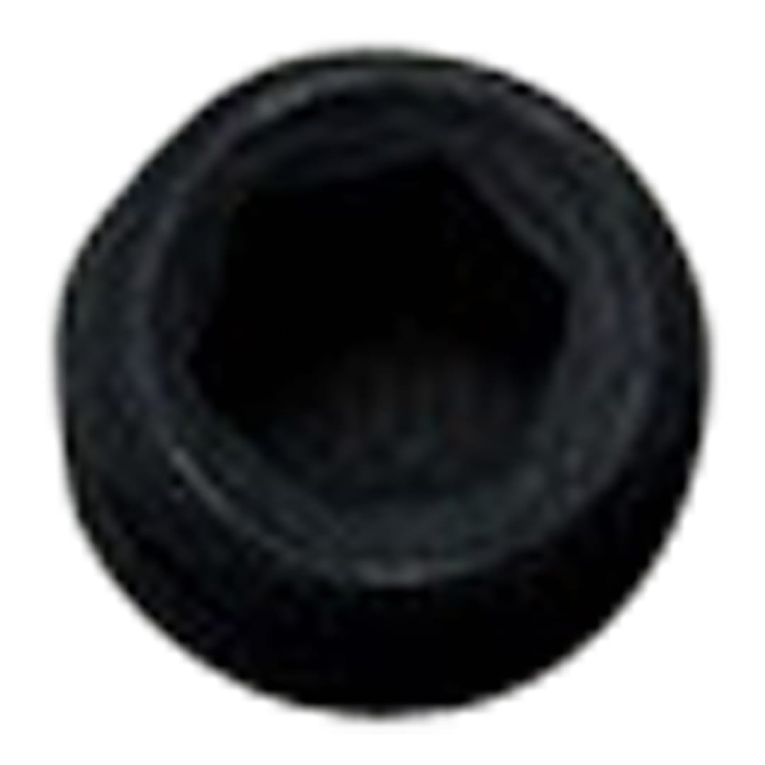 1/4-20 X 3/16 Alloy Cup Point Socket